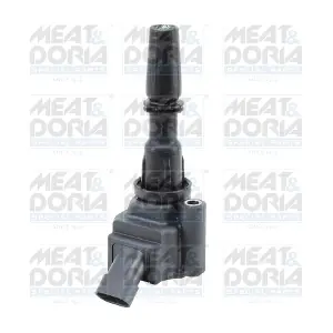 10893 MEAT & DORIA