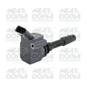 10858 MEAT & DORIA