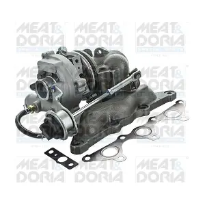 65008 MEAT & DORIA
