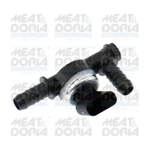825049 MEAT & DORIA