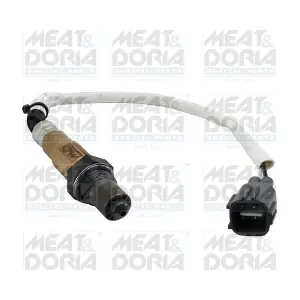 MEAT & DORIA 811005E