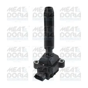 10341E MEAT & DORIA