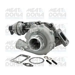65665 MEAT & DORIA