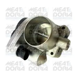 89029 MEAT & DORIA