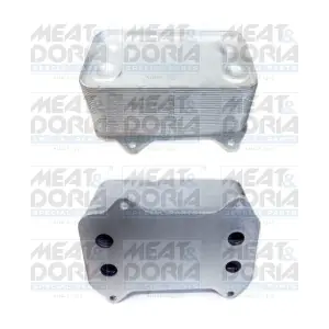 95058 MEAT & DORIA