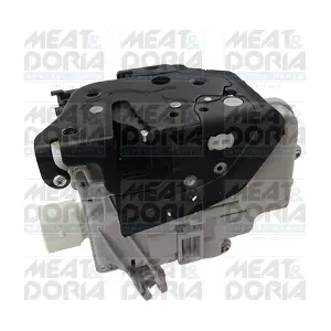 31389 MEAT & DORIA
