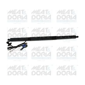 301121 MEAT & DORIA