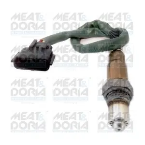 MEAT & DORIA 81901