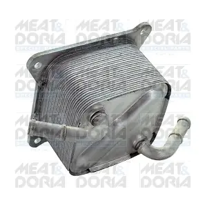 95237 MEAT & DORIA