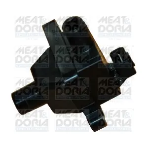 10338 MEAT & DORIA