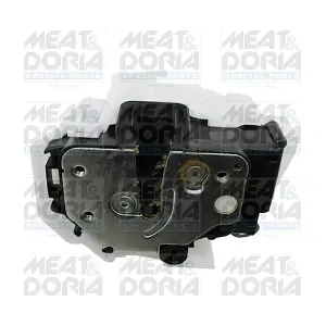 31016 MEAT & DORIA