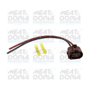 25505 MEAT & DORIA