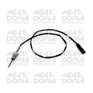 12462 MEAT & DORIA