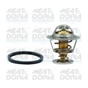 92316 MEAT & DORIA