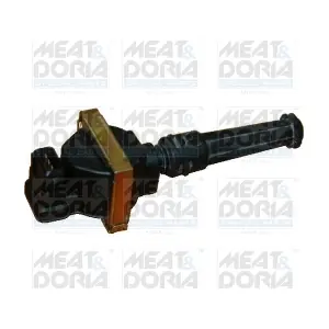10340 MEAT & DORIA