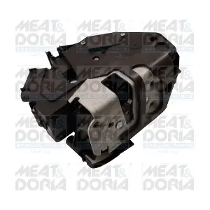 31398 MEAT & DORIA