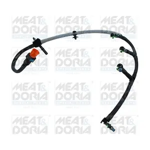 98075 MEAT & DORIA