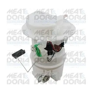 76586 MEAT & DORIA