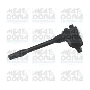 10638 MEAT & DORIA