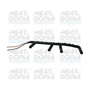 25523 MEAT & DORIA