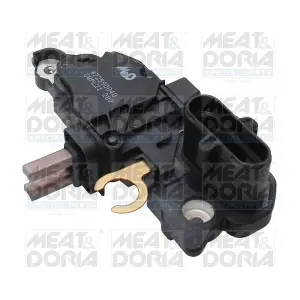52054 MEAT & DORIA