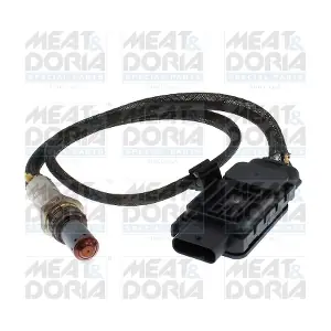57131 MEAT & DORIA