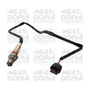 811076 MEAT & DORIA