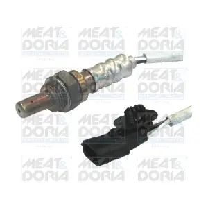 MEAT & DORIA 81580
