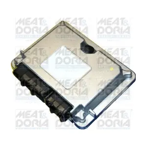 70071 MEAT & DORIA