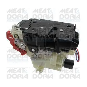 31380 MEAT & DORIA