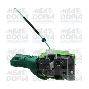 31018 MEAT & DORIA