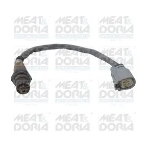 MEAT & DORIA 81937