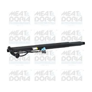 301071 MEAT & DORIA