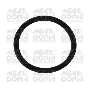 98813 MEAT & DORIA