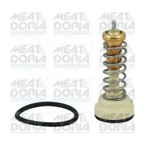 92755 MEAT & DORIA