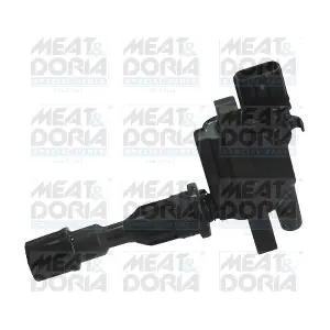 MEAT & DORIA 10667