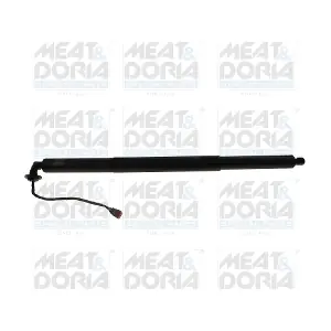 301129 MEAT & DORIA