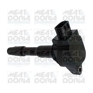 MEAT & DORIA 10713