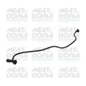 97330 MEAT & DORIA