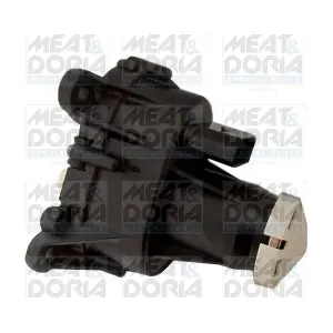 89338 MEAT & DORIA