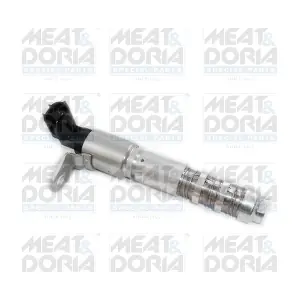 91551 MEAT & DORIA