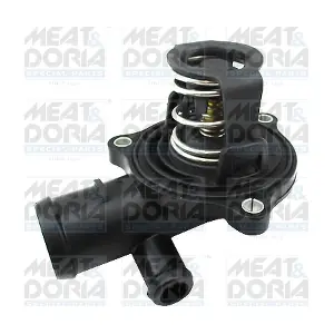 92851 MEAT & DORIA