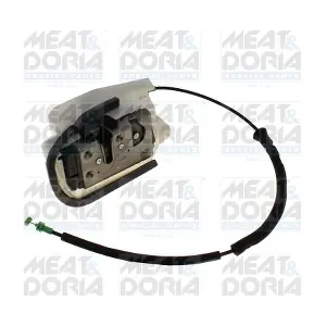 31897 MEAT & DORIA
