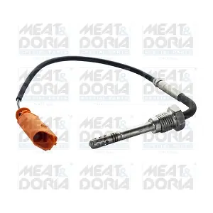12489 MEAT & DORIA