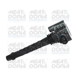 10687 MEAT & DORIA