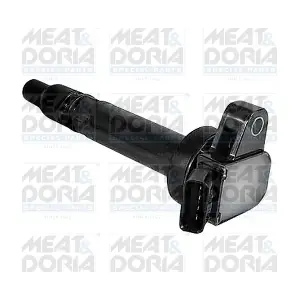 MEAT & DORIA 10560