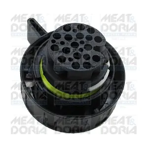 25491 MEAT & DORIA