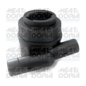 91636 MEAT & DORIA