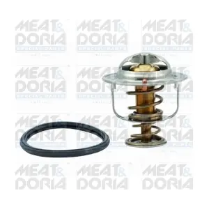 92325 MEAT & DORIA