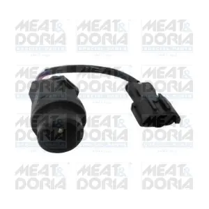 871003 MEAT & DORIA